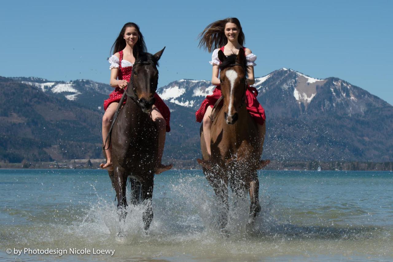 Gutshof Wolfgangsee Resort & Event Hotel Штробль Екстер'єр фото